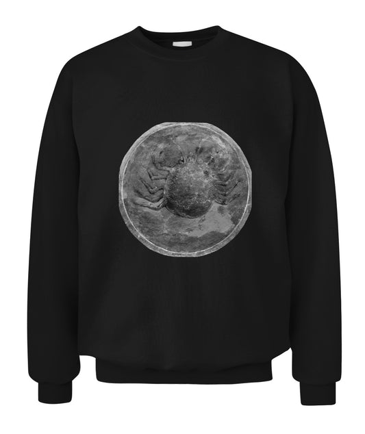 Unisex Sweatshirt | "Cradle of the Shell"