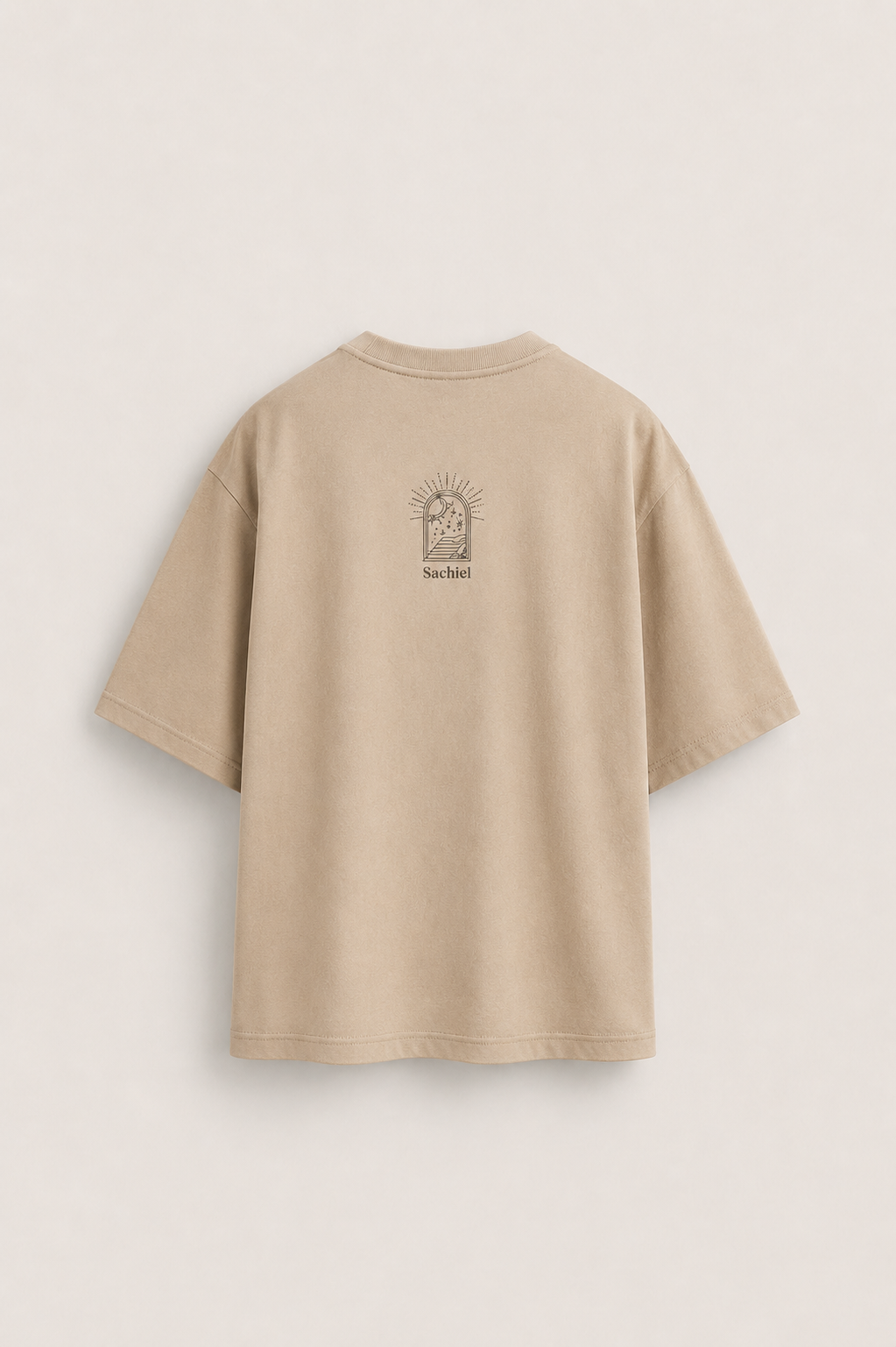 Men's Oversized Heavyweight T-Shirt | " Divine Providence "